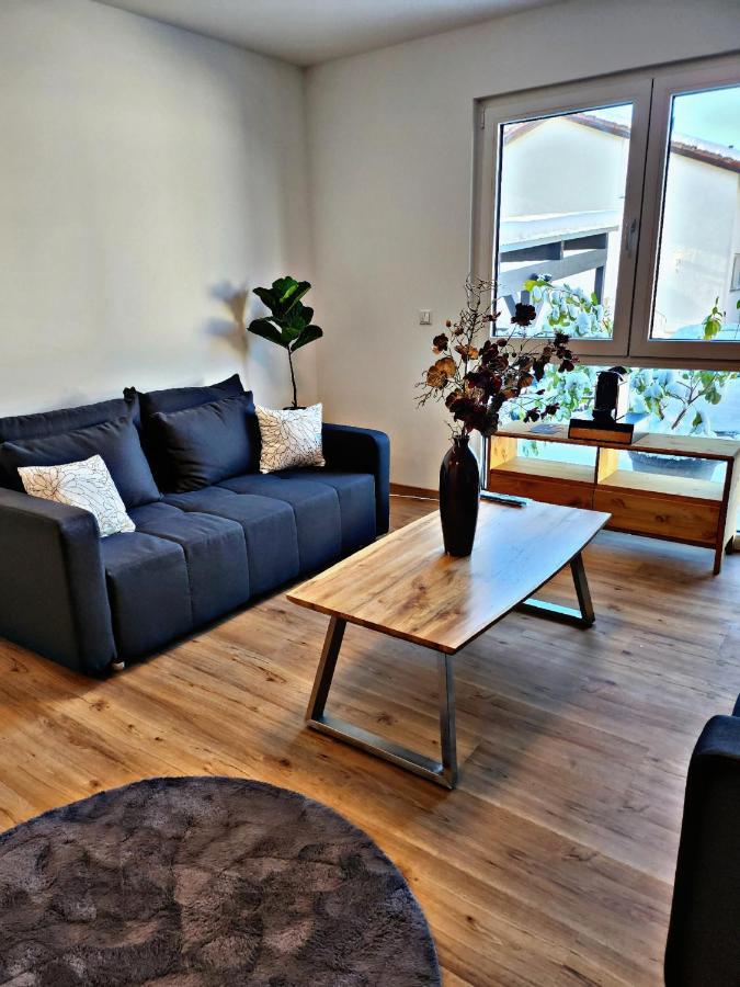Lions Place Premium Apartments Comfort Optionaler Zugang Zum Spa- Bereich Heidenheim an der Brenz Exterior photo