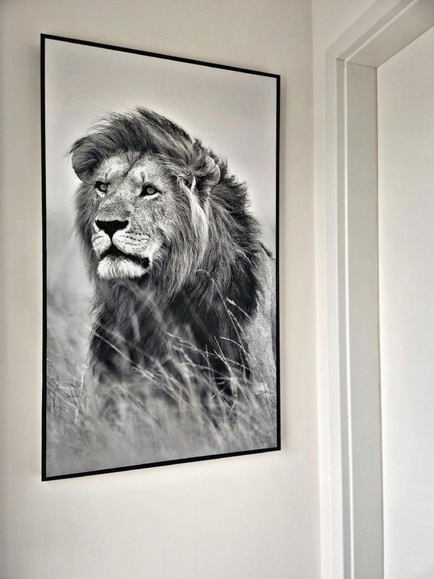Lions Place Premium Apartments Comfort Optionaler Zugang Zum Spa- Bereich Heidenheim an der Brenz Exterior photo